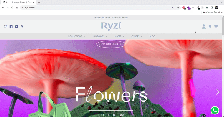 Representação da página inicial da Ryzi